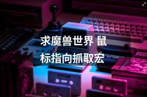 求魔兽世界 鼠标指向抓取宏-第1张-游戏信息-龙启网