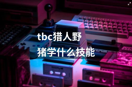 tbc猎人野猪学什么技能-第1张-游戏信息-龙启网