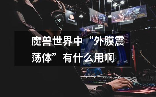 魔兽世界中“外膜震荡体”有什么用啊-第1张-游戏信息-龙启网