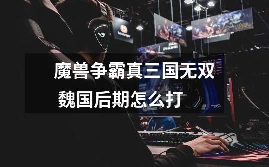 魔兽争霸真三国无双 魏国后期怎么打-第1张-游戏信息-龙启网
