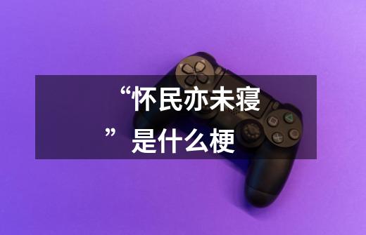 “怀民亦未寝”是什么梗-第1张-游戏信息-龙启网