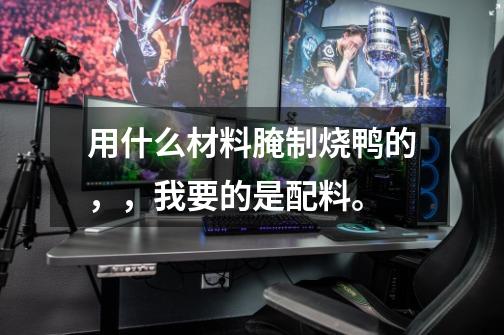 用什么材料腌制烧鸭的，，我要的是配料。-第1张-游戏信息-龙启网