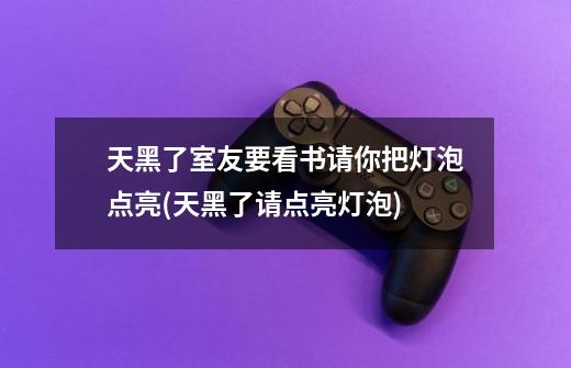 天黑了室友要看书请你把灯泡点亮(天黑了请点亮灯泡)-第1张-游戏信息-龙启网