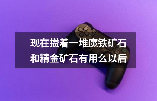 现在攒着一堆魔铁矿石和精金矿石有用么以后-第1张-游戏信息-龙启网