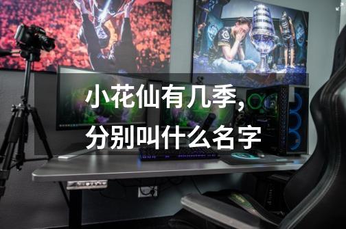 小花仙有几季,分别叫什么名字-第1张-游戏信息-龙启网