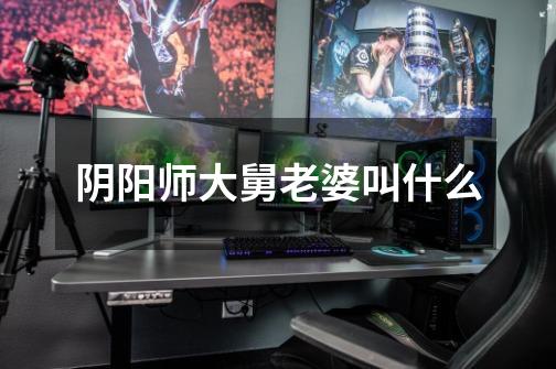 阴阳师大舅老婆叫什么-第1张-游戏信息-龙启网