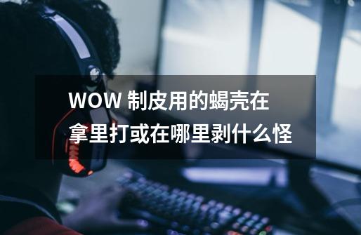 WOW 制皮用的蝎壳在拿里打或在哪里剥什么怪-第1张-游戏信息-龙启网