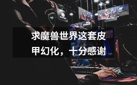 求魔兽世界这套皮甲幻化，十分感谢-第1张-游戏信息-龙启网