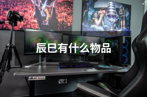 辰巳有什么物品-第1张-游戏信息-龙启网