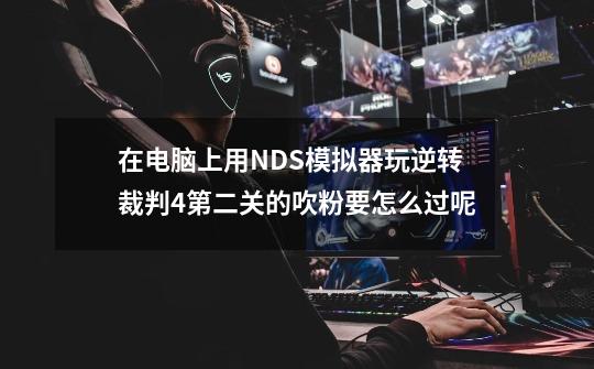 在电脑上用NDS模拟器玩逆转裁判4..第二关的吹粉要怎么过呢-第1张-游戏信息-龙启网