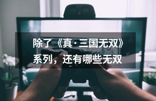 除了《真·三国无双》系列，还有哪些无双-第1张-游戏信息-龙启网