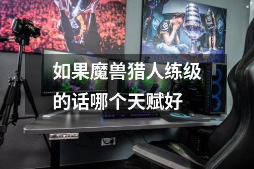 如果魔兽猎人练级的话哪个天赋好-第1张-游戏信息-龙启网