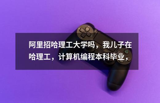 阿里招哈理工大学吗,我儿子在哈理工,计算机编程本科毕业,-第1张-游戏信息-龙启网