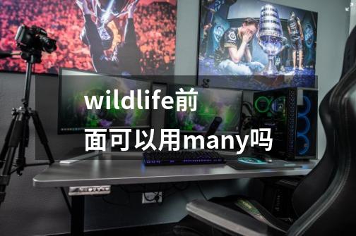 wildlife前面可以用many吗-第1张-游戏信息-龙启网