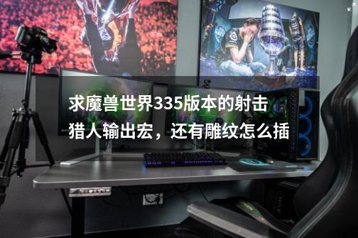 求魔兽世界3.3.5版本的射击猎人输出宏,还有雕纹怎么插-第1张-游戏信息-龙启网
