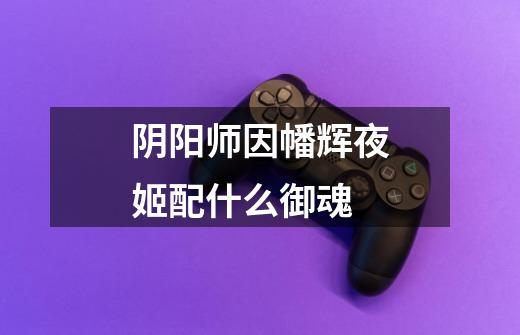 阴阳师因幡辉夜姬配什么御魂-第1张-游戏信息-龙启网