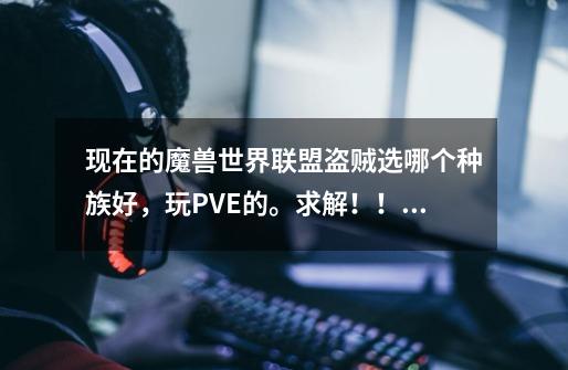 现在的魔兽世界联盟盗贼选哪个种族好,玩PVE的。求解!!!-第1张-游戏信息-龙启网