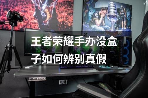 王者荣耀手办没盒子如何辨别真假-第1张-游戏信息-龙启网
