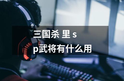 三国杀 里 sp武将有什么用-第1张-游戏信息-龙启网