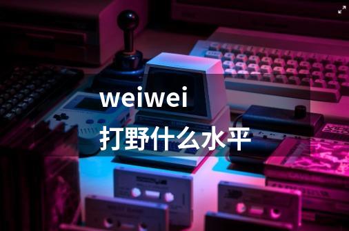 weiwei打野什么水平-第1张-游戏信息-龙启网