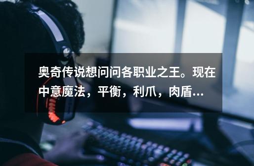 奥奇传说想问问各职业之王。现在中意魔法，平衡，利爪，肉盾（想要两个）。-第1张-游戏信息-龙启网