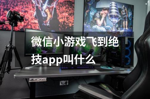 微信小游戏飞到绝技app叫什么-第1张-游戏信息-龙启网