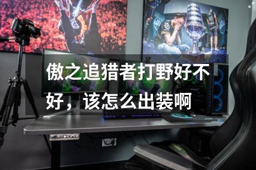 傲之追猎者打野好不好，该怎么出装啊-第1张-游戏信息-龙启网