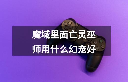 魔域里面亡灵巫师用什么幻宠好-第1张-游戏信息-龙启网