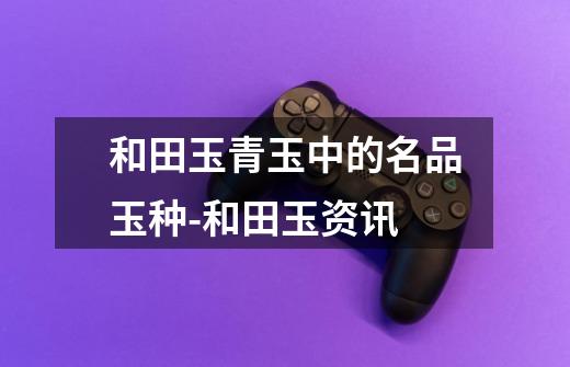 和田玉青玉中的名品玉种-和田玉资讯-第1张-游戏信息-龙启网