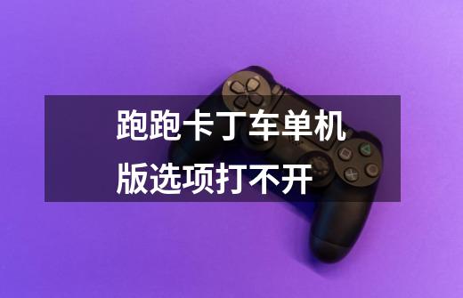 跑跑卡丁车单机版选项打不开-第1张-游戏信息-龙启网