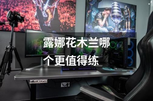 露娜花木兰哪个更值得练-第1张-游戏信息-龙启网