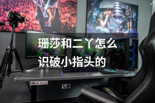 珊莎和二丫怎么识破小指头的-第1张-游戏信息-龙启网