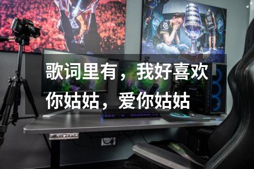 歌词里有,我好喜欢你姑姑,爱你姑姑-第1张-游戏信息-龙启网