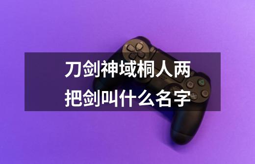 刀剑神域桐人两把剑叫什么名字-第1张-游戏信息-龙启网