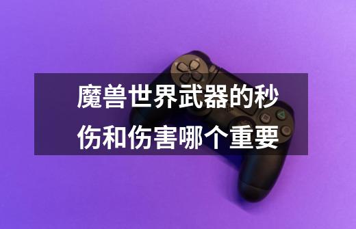魔兽世界武器的秒伤和伤害哪个重要-第1张-游戏信息-龙启网