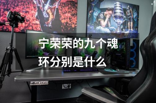 宁荣荣的九个魂环分别是什么-第1张-游戏信息-龙启网