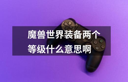 魔兽世界装备两个等级什么意思啊-第1张-游戏信息-龙启网