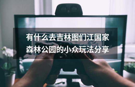 有什么去吉林图们江国家森林公园的小众玩法分享-第1张-游戏信息-龙启网
