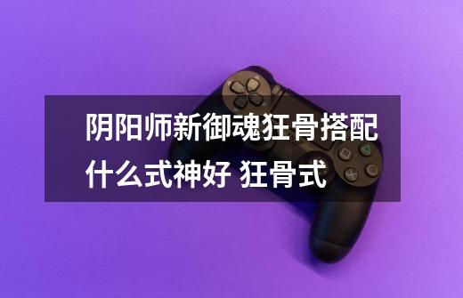 阴阳师新御魂狂骨搭配什么式神好 狂骨式-第1张-游戏信息-龙启网