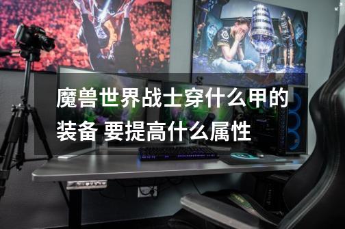 魔兽世界战士穿什么甲的装备 要提高什么属性-第1张-游戏信息-龙启网