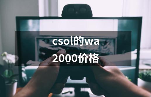 csol的wa2000价格-第1张-游戏信息-龙启网