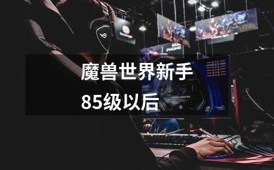 魔兽世界新手85级以后-第1张-游戏信息-龙启网