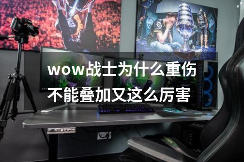 wow战士为什么重伤不能叠加又这么厉害-第1张-游戏信息-龙启网