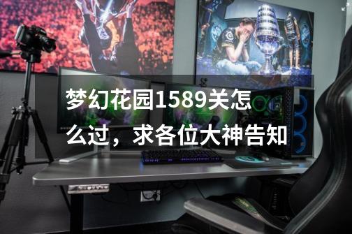 梦幻花园1589关怎么过，求各位大神告知-第1张-游戏信息-龙启网