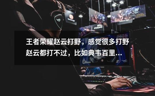 王者荣耀赵云打野,感觉很多打野赵云都打不过,比如典韦百里玄策什么的,为什么-第1张-游戏信息-龙启网