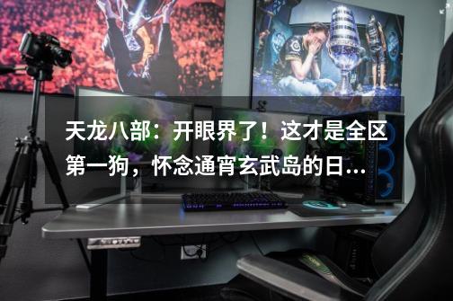 天龙八部:开眼界了!这才是全区第一狗,怀念通宵玄武岛的日子-第1张-游戏信息-龙启网