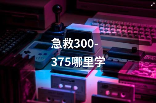 急救300-375哪里学-第1张-游戏信息-龙启网