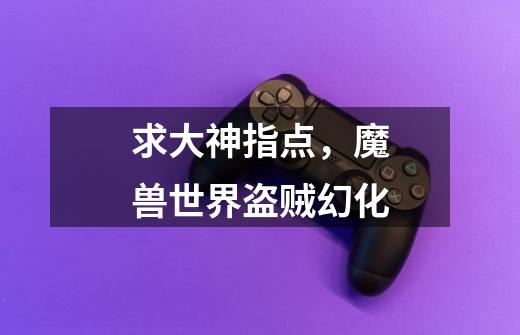 求大神指点，魔兽世界盗贼幻化-第1张-游戏信息-龙启网