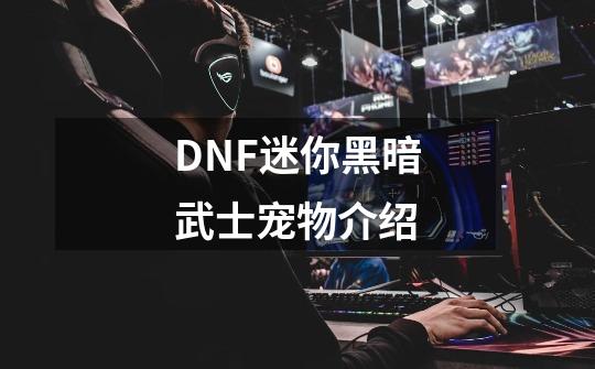 DNF迷你黑暗武士宠物介绍-第1张-游戏信息-龙启网