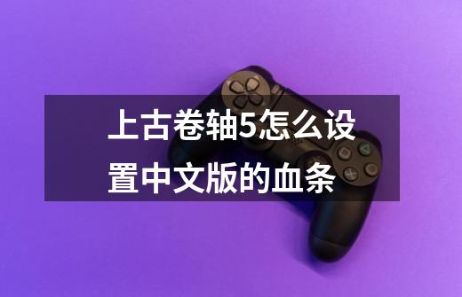 上古卷轴5怎么设置中文版的血条-第1张-游戏信息-龙启网